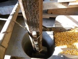 DSCN5360.JPG