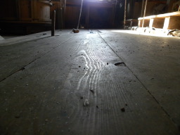 DSCN5365.JPG