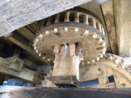 DSCN5381.JPG