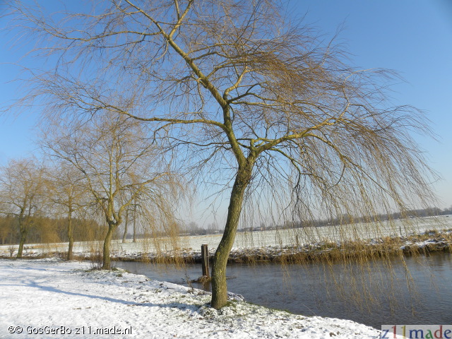 dscn5287.jpg