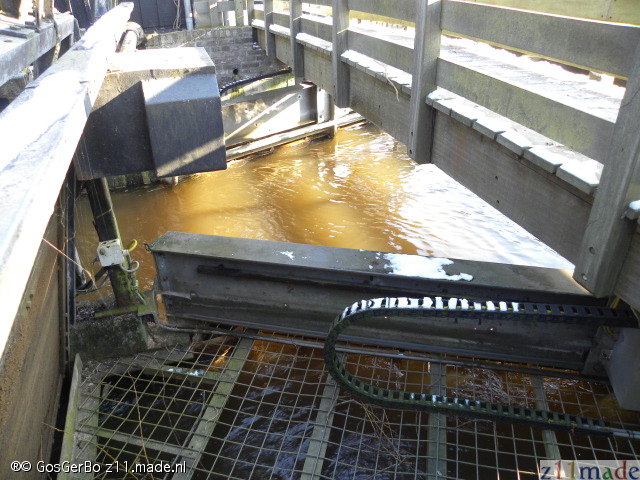dscn5310.jpg