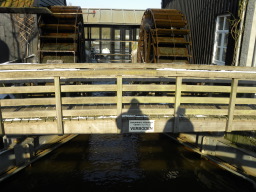 DSCN5313.JPG