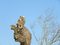 DSCN5324.JPG