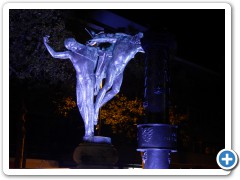 DSCN3685