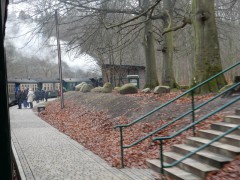 2023-24.rugen.sellin.stoomtrein.dag4.DSCN4524