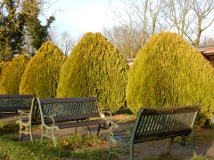 2023-24.rugen.kap-arkona.dag.5.DSCN4642