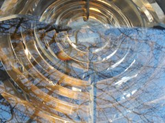 2023-24.rugen.kap-arkona.dag.5.DSCN4653