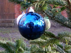 2023-24.rugen.kap-arkona.dag.5.DSCN4667