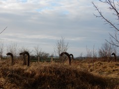 2023-24.rugen.kap-arkona.dag.5.DSCN4677