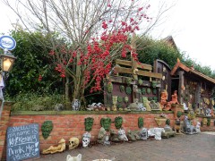 2023-24.rugen.kap-arkona.dag.5.DSCN4681