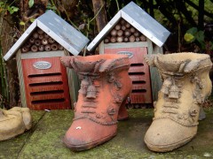 2023-24.rugen.kap-arkona.dag.5.DSCN4684