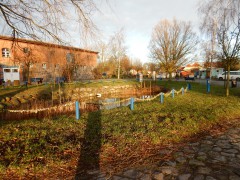 2023-24.rugen.kap-arkona.dag.5.DSCN4690