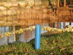 2023-24.rugen.kap-arkona.dag.5.DSCN4691