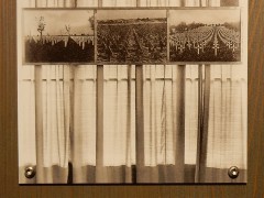 duitse-begraafplaats.normandie.DSCN8422