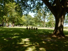 duitse-begraafplaats-normandie.DSCN8510