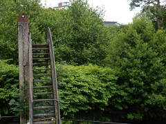 st.lo.lunch.DSCN8690