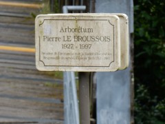 st.lo.lunch.DSCN8691