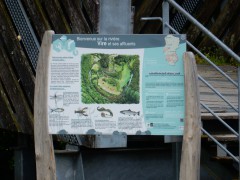 st.lo.lunch.DSCN8692