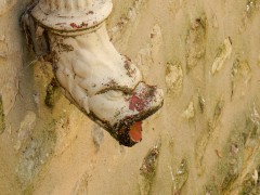 bayeux-2024.7juni.DSCN8542