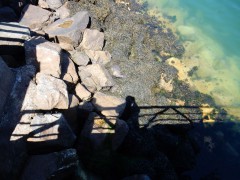 2024.cherbourg.haven.DSCN8879