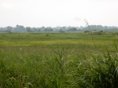 2024.1.juni.st.fromond.ooievaars.DSCN7629