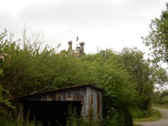 2024.1.juni.st.fromond.ooievaars.DSCN7630