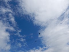 2024.omaha-beach.DSCN7319