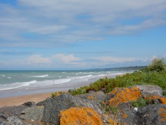 2024.omaha-beach.DSCN7326