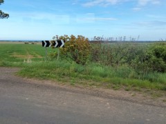 IMG20240509155747