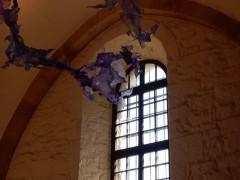 2024.29juli.bad-bentheim.DSCN9446