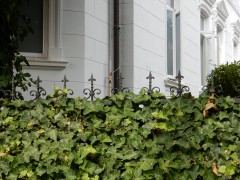 2024.5.aug.lohne.taphorn-villa.DSCN9888