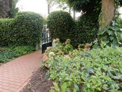 2024.5.aug.lohne.taphorn-villa.DSCN9920