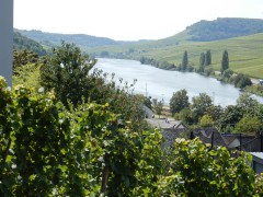 2024.22.aug.camping-saarbuch.DSCN0180