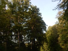 2024.22.aug.camping-saarburch.DSCN0332