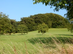 2024.22.aug.camping-saarburch.DSCN0334