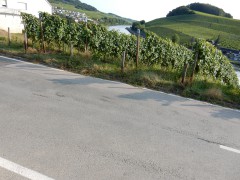 2024.22.aug.camping-saarburg-nittel.DSCN0339