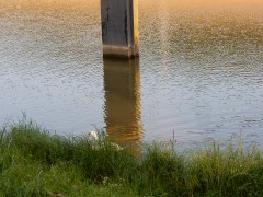 2024.22.aug.camping-saarburg-nittel.DSCN0355