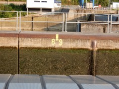 2024.22.aug.camping-saarburg-nittel.DSCN0371