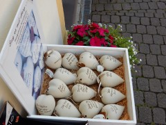 2024.22.aug.camping-saarburch.DSCN0191