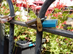 2024.22.aug.camping-saarburch.DSCN0192