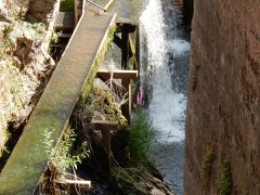 2024.22.aug.camping-saarburch.DSCN0195