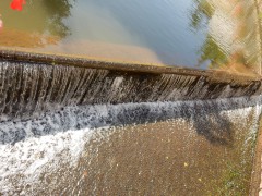 2024.22.aug.camping-saarburch.DSCN0198