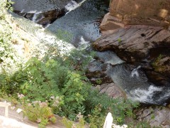 2024.22.aug.camping-saarburch.DSCN0200