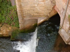 2024.22.aug.camping-saarburch.DSCN0204