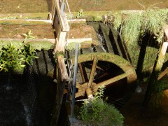 2024.22.aug.camping-saarburch.DSCN0230