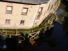 2024.22.aug.camping-saarburch.DSCN0231