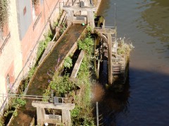 2024.22.aug.camping-saarburch.DSCN0232