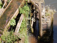 2024.22.aug.camping-saarburch.DSCN0233