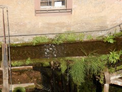 2024.22.aug.camping-saarburch.DSCN0237