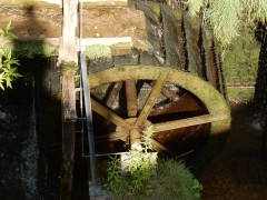 2024.22.aug.camping-saarburch.DSCN0238